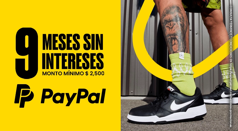 9 meses sin intereses con PayPal